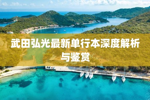 武田弘光最新单行本深度解析与鉴赏