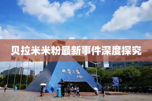贝拉米米粉最新事件深度探究
