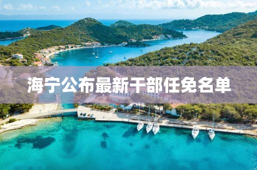 海宁公布最新干部任免名单