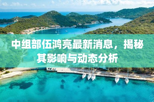 中组部伍鸿亮最新消息，揭秘其影响与动态分析
