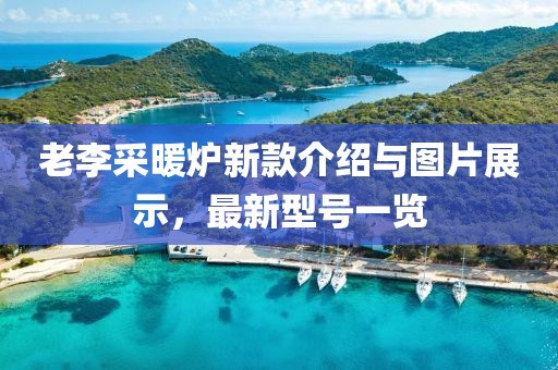 老李采暖炉新款介绍与图片展示，最新型号一览