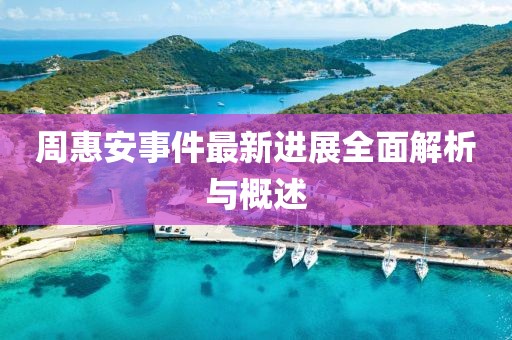 周惠安事件最新进展全面解析与概述