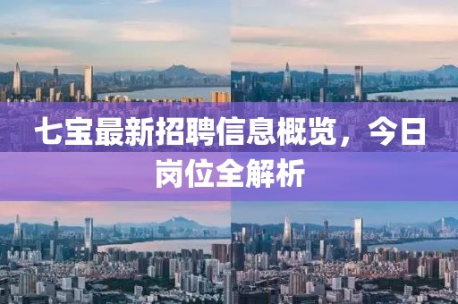 七宝最新招聘信息概览，今日岗位全解析