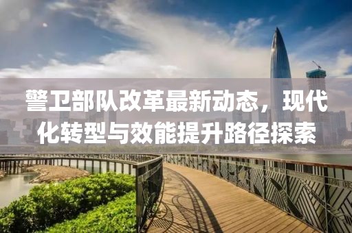 警卫部队改革最新动态，现代化转型与效能提升路径探索