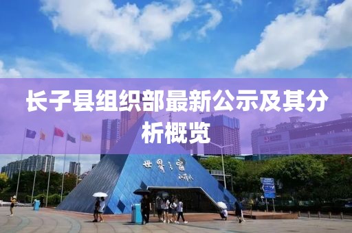 长子县组织部最新公示及其分析概览
