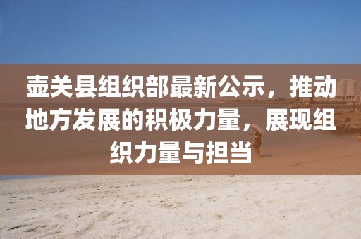 壶关县组织部最新公示，推动地方发展的积极力量，展现组织力量与担当