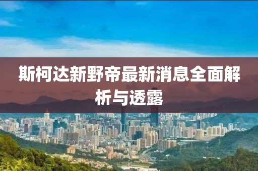 斯柯达新野帝最新消息全面解析与透露