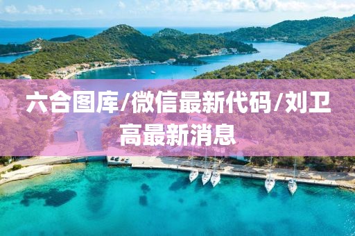 六合图库/微信最新代码/刘卫高最新消息