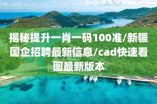 揭秘提升一肖一码100准/新疆国企招聘最新信息/cad快速看图最新版本