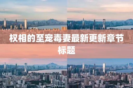 权相的至宠毒妻最新更新章节标题