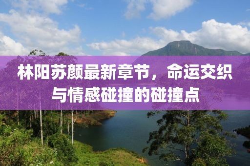 软门帘 第501页