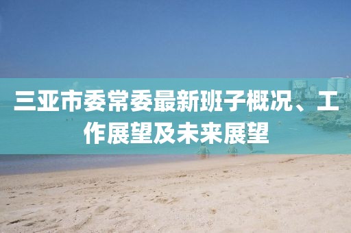 三亚市委常委最新班子概况、工作展望及未来展望