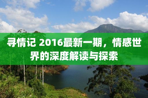 寻情记 2016最新一期，情感世界的深度解读与探索