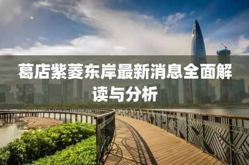 葛店紫菱东岸最新消息全面解读与分析