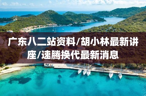广东八二站资料/胡小林最新讲座/速腾换代最新消息