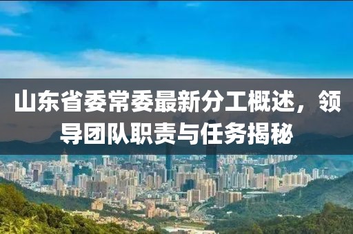 山东省委常委最新分工概述，领导团队职责与任务揭秘