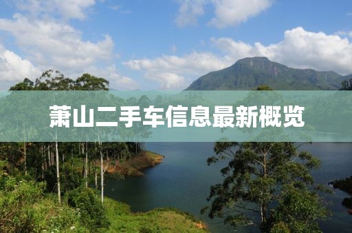 萧山二手车信息最新概览