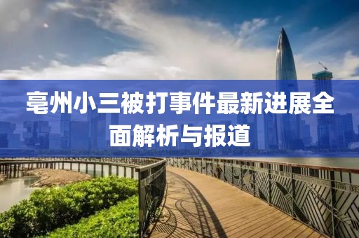 亳州小三被打事件最新进展全面解析与报道
