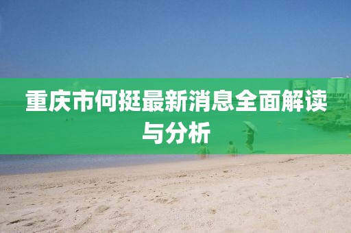 重庆市何挺最新消息全面解读与分析