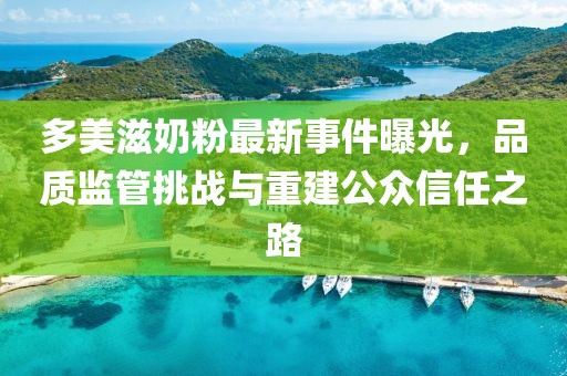 多美滋奶粉最新事件曝光，品质监管挑战与重建公众信任之路