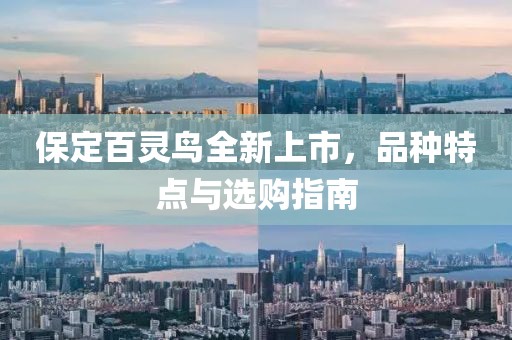 保定百灵鸟全新上市，品种特点与选购指南