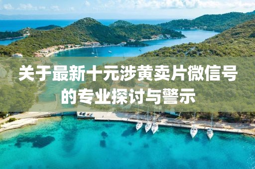 关于最新十元涉黄卖片微信号的专业探讨与警示