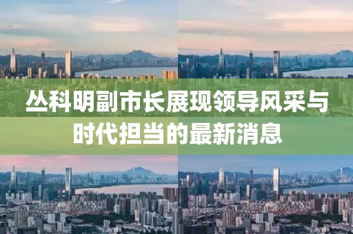 丛科明副市长展现领导风采与时代担当的最新消息