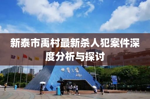 新泰市禹村最新杀人犯案件深度分析与探讨