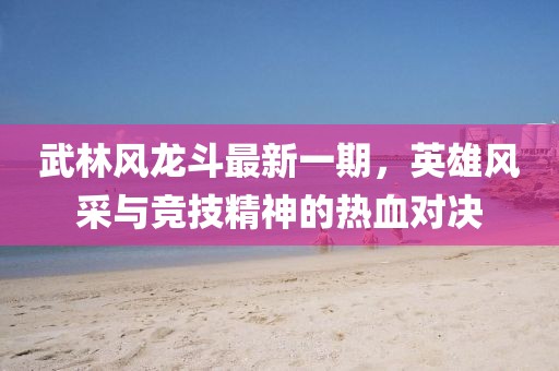 武林风龙斗最新一期，英雄风采与竞技精神的热血对决