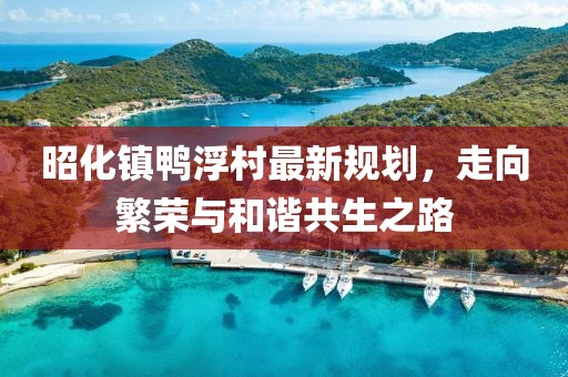 昭化镇鸭浮村最新规划，走向繁荣与和谐共生之路