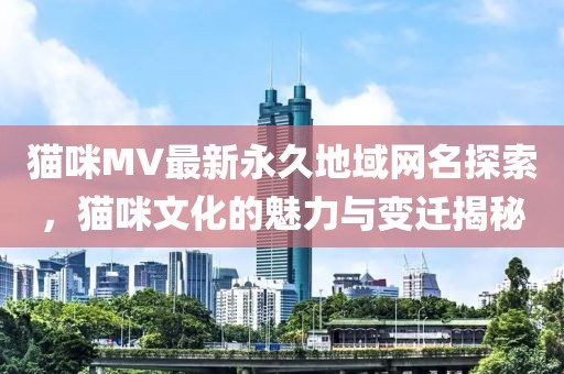 猫咪MV最新永久地域网名探索，猫咪文化的魅力与变迁揭秘