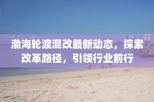 渤海轮渡混改最新动态，探索改革路径，引领行业前行