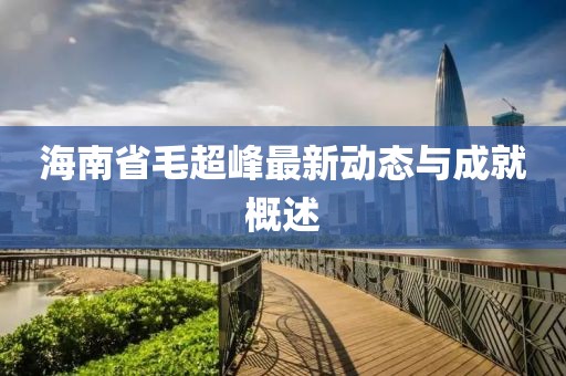 海南省毛超峰最新动态与成就概述