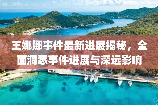 王娜娜事件最新进展揭秘，全面洞悉事件进展与深远影响