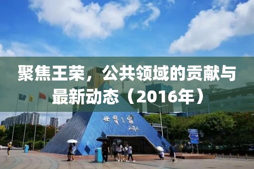 聚焦王荣，公共领域的贡献与最新动态（2016年）