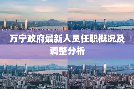 万宁政府最新人员任职概况及调整分析