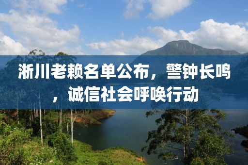 淅川老赖名单公布，警钟长鸣，诚信社会呼唤行动