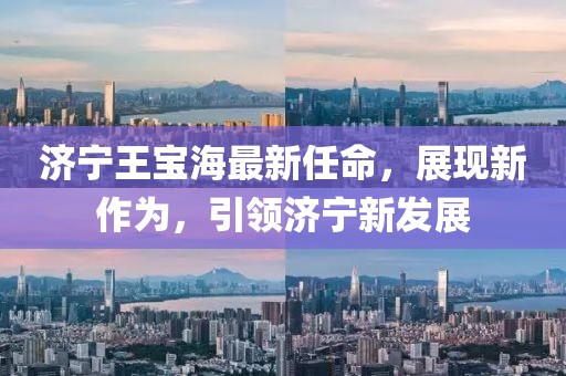 济宁王宝海最新任命，展现新作为，引领济宁新发展