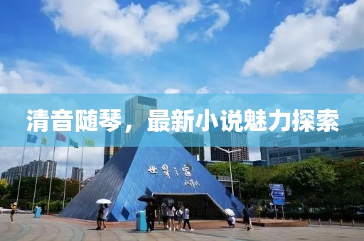 清音随琴，最新小说魅力探索