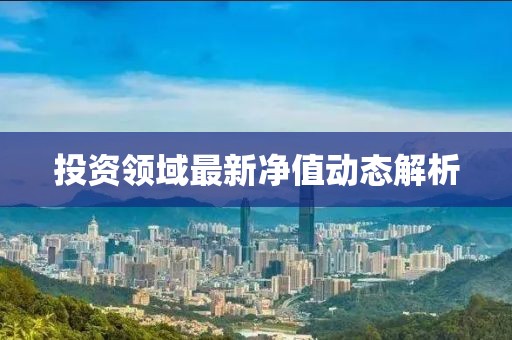 投资领域最新净值动态解析