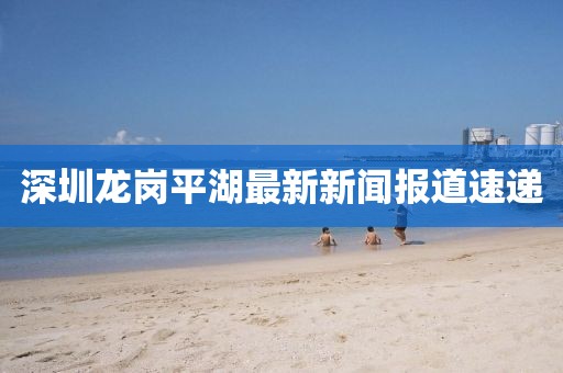 深圳龙岗平湖最新新闻报道速递