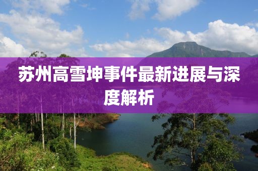 苏州高雪坤事件最新进展与深度解析