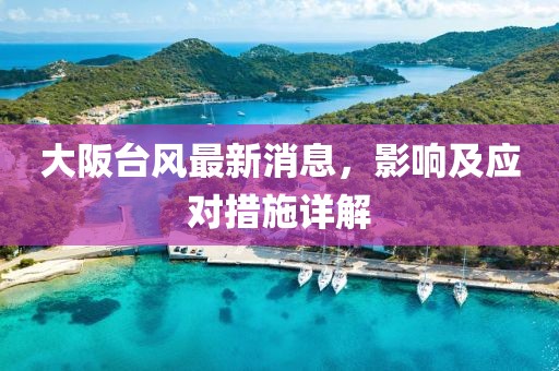 大阪台风最新消息，影响及应对措施详解
