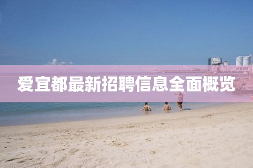 爱宜都最新招聘信息全面概览