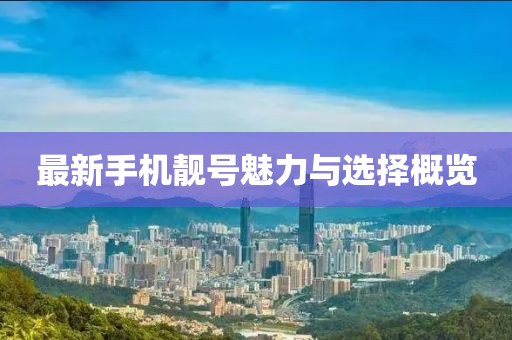 最新手机靓号魅力与选择概览