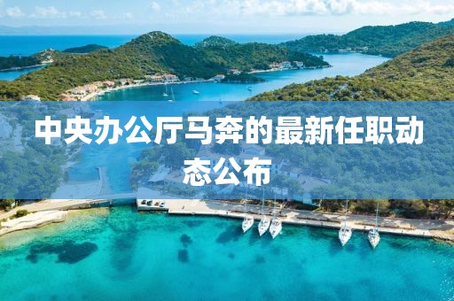 中央办公厅马奔的最新任职动态公布