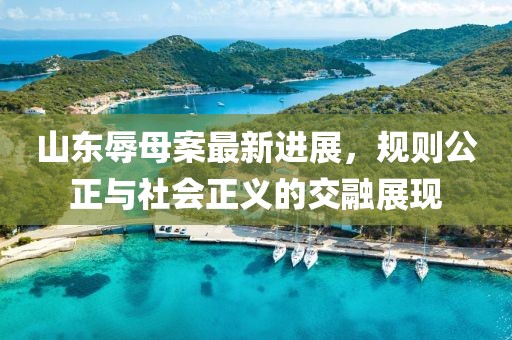 山东辱母案最新进展，规则公正与社会正义的交融展现