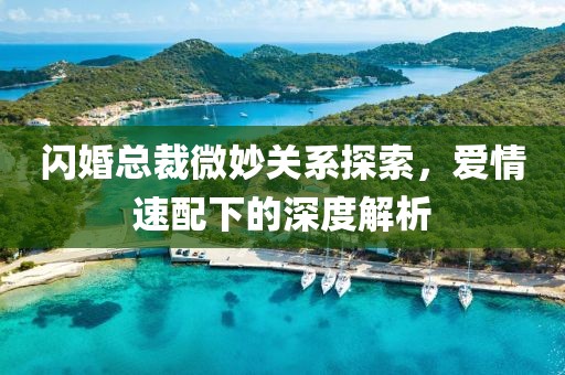 闪婚总裁微妙关系探索，爱情速配下的深度解析