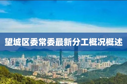 望城区委常委最新分工概况概述