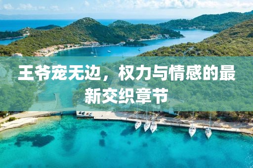 王爷宠无边，权力与情感的最新交织章节